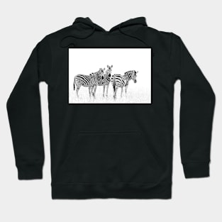 Zebra Trio in Winter Grass | African Wildlife Hoodie